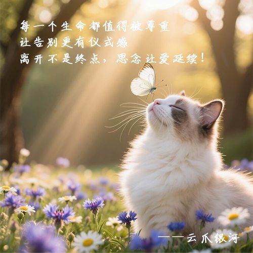 全国宠物殡葬服务离世纪尾骨去世火化祭祀猫狗去世殡葬