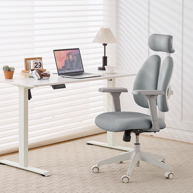 人体工学椅电脑椅女生双背椅家用