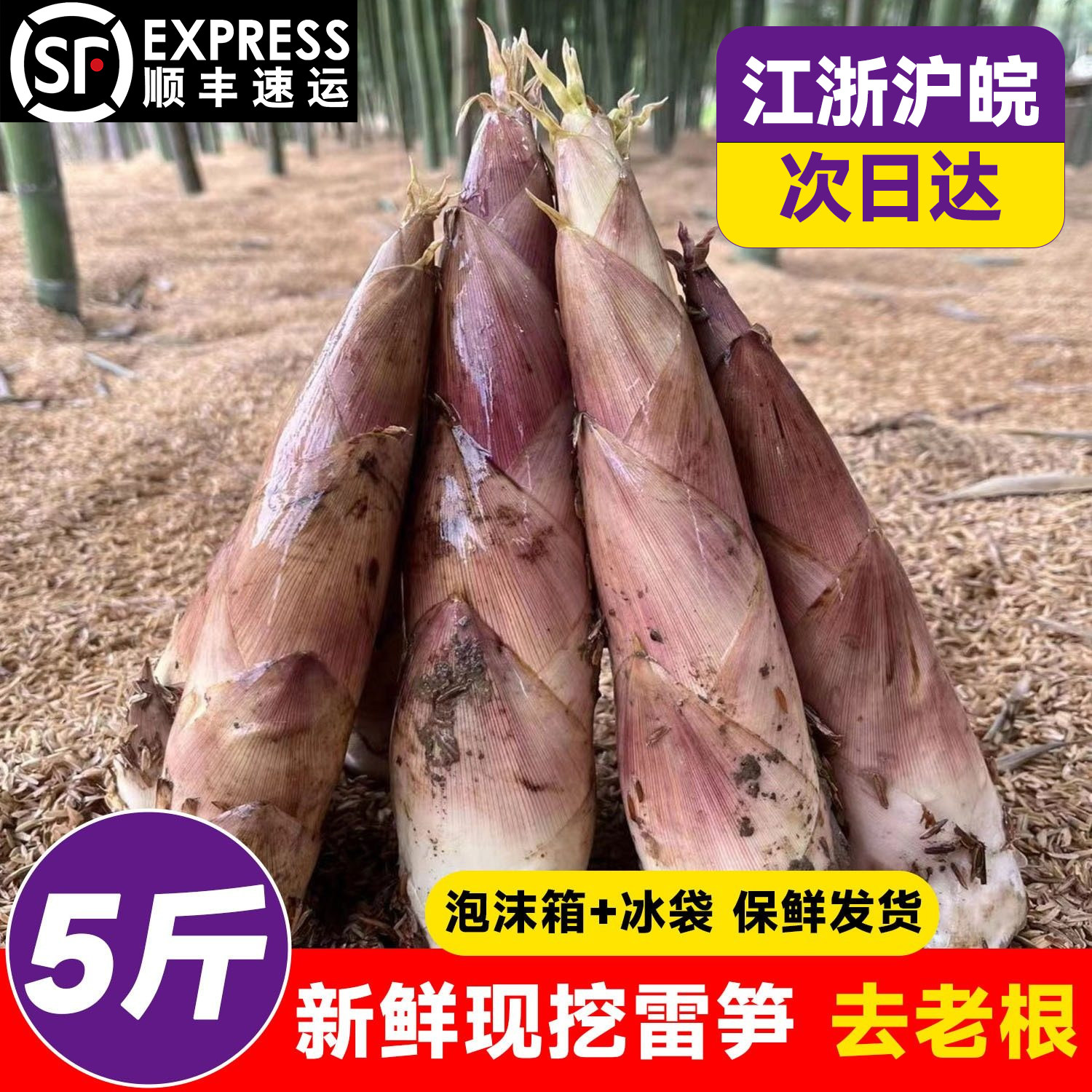 浙江新鲜雷笋春笋竹笋油焖笋鲜笋腌笃鲜临安笋现挖嫩芽笋火锅冬笋