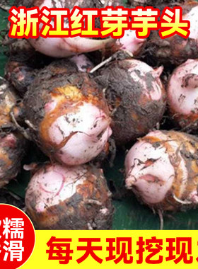 浙江红芽芋头芋艿小芋仔软糯香粉2026新鲜蔬菜现挖香芋牛奶种子