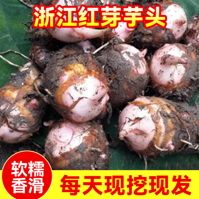 浙江红芽芋头芋艿小芋仔软糯香粉2025新鲜蔬菜现挖香芋牛奶毛芋头