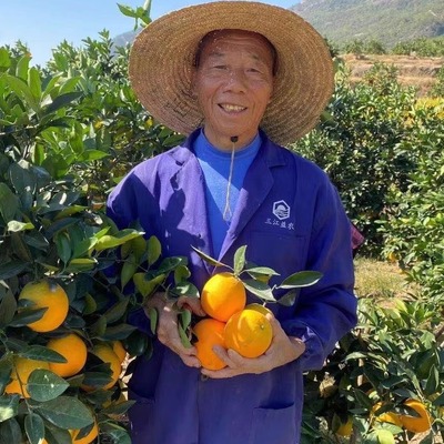 赣南脐橙珑橙 自家果园 产地直发 17.58°C老树脐橙 全国多省包邮