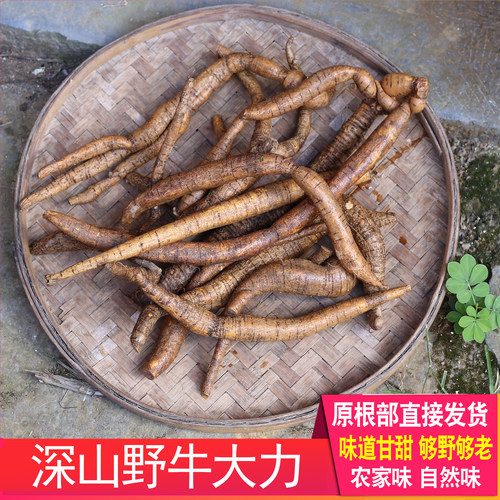 深山现挖新鲜牛大力广东煲汤材料