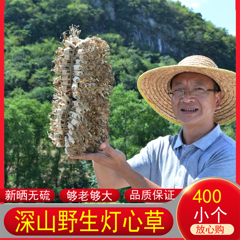 400个广东煲汤材料无硫灯心草
