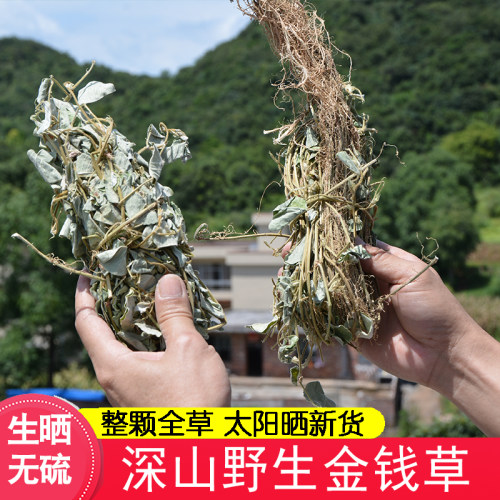 山野金钱草药材深山农家无硫整棵