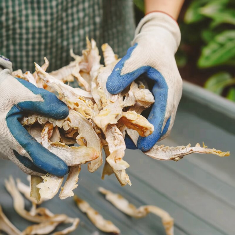 宁波奉化竹笋干220g袋装农家自晒家用干货无添加手工自制特产食材