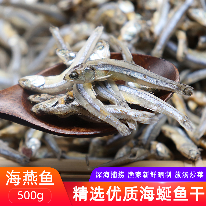 舟山特产海鲜海燕鱼银鱼海蜒鱼干