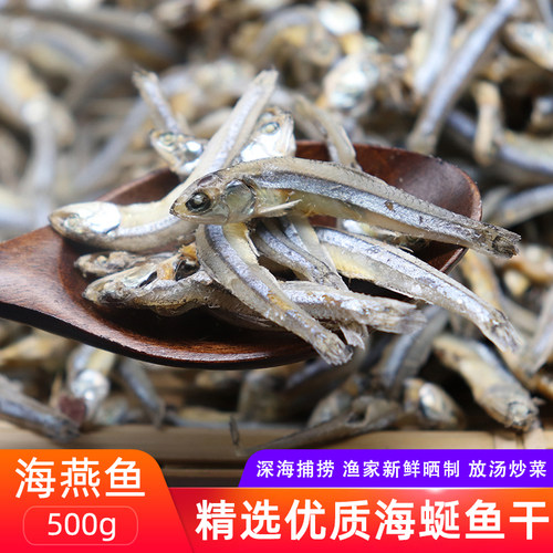 舟山特产海鲜海燕鱼银鱼海蜒鱼干