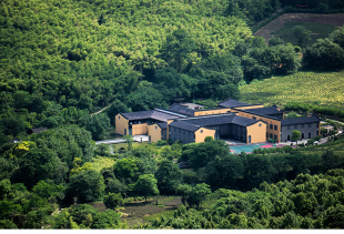 寂澄黑湘妃款 四 究竟涅槃 心经 日本藏唐代版