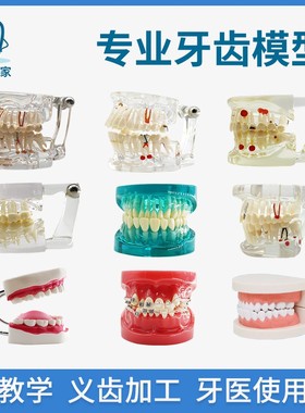 迪牙齿模型牙模型模具教学可拆卸