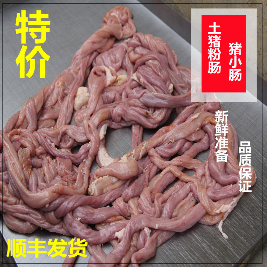 新鲜白切猪粉肠 现杀土猪小肠生猪肠子 商用生猪下水内脏1500g