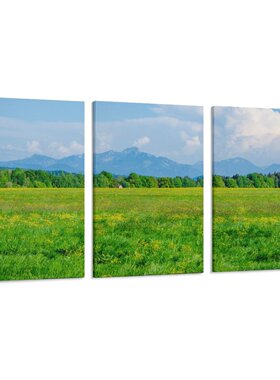 简约草原农场治愈自然风景房间背景墙帆布无框画三联组合装饰挂画