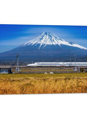 日本富士山火山樱花东京地理风景房间背景墙帆布无框画装饰挂画