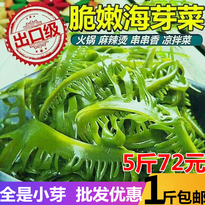 高品质裙带菜芽火锅海芽菜海白菜芽盐渍芽菜非干货海藻海媚芽菜 水产肉类/新鲜蔬果/熟食 裙带菜 原图主图