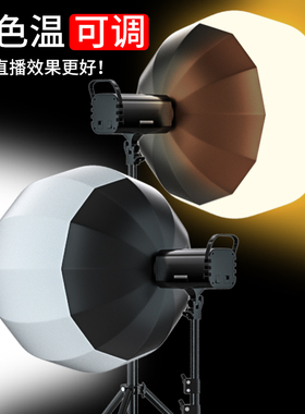 专业三色灯光直播间补光灯主播用美颜led摄影灯拍照室内服装拍摄打光专用聚光灯影棚球形柔光灯箱