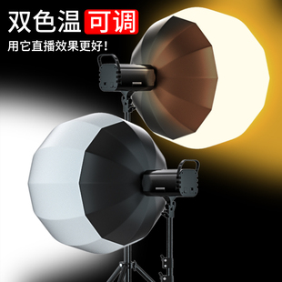 专业三色灯光直播间补光灯主播用美颜led摄影灯拍照室内服装拍摄打光专用聚光灯影棚球形柔光灯箱