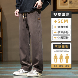休闲裤男春秋季宽松直筒男裤男士长裤纯棉工装裤子男款Z2346-P45图片