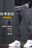 2024秋季男士休闲裤简约百搭潮流时尚束脚工装裤长裤子GF9611-P40，男装休闲裤，星座509