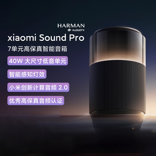 小米Xiaomi Pro蓝牙音箱立体声低音炮AI智能音响小爱同学 Sound