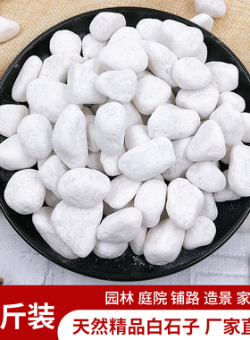 50斤白色石子石头大鹅卵石庭院铺路铺地小白石头园林枯山水白石子