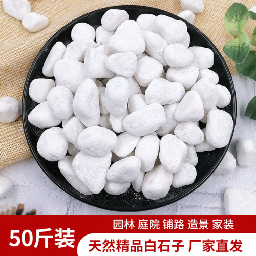 天然白石子枯山水庭院造景铺地