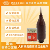 Питательный раствор Guoguangshu Power в бутылочках, жидкость, ускоряющая прорастание, нарушающая состояние покоя и способствующая прорастанию, жидкость для подвешивания игл, жидкость для активации