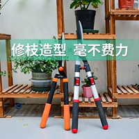 Импортные хедж -режущие сады ножницы и фруктовые ветви сад сад зеленый инструмент Цветочный Слюнинг