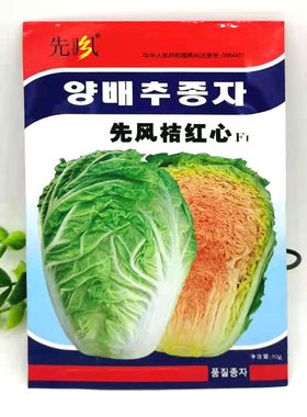 韩国先锋红桔蔬菜种子