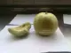 Импортные японские гранулы