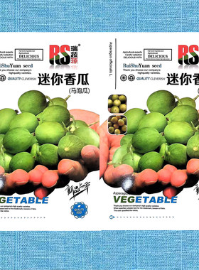 马泡瓜穿越空间迷你香瓜蔬菜种子