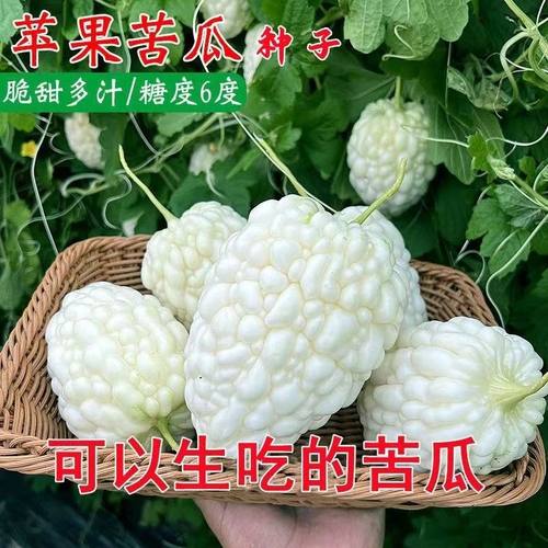 生吃不苦甘甜水果台湾蔬菜种子