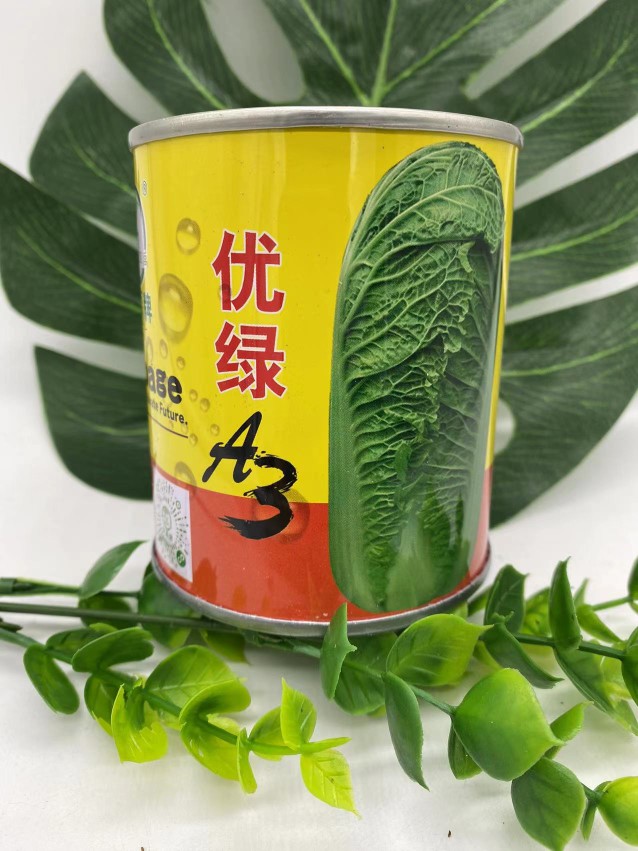 大白菜种子夏秋优速生好吃四季