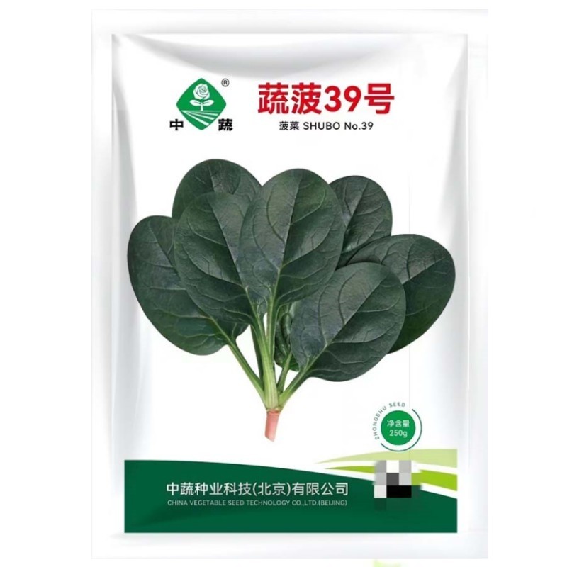 蔬菜叶子菜深绿菠菜种子