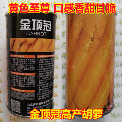 金黄色高产抗病耐热胡萝卜种子