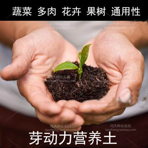 泥炭土营养土种花种菜育苗用土