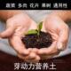配置好 好种好养A 泥炭土营养土种花土种菜土多肉种植土育苗土