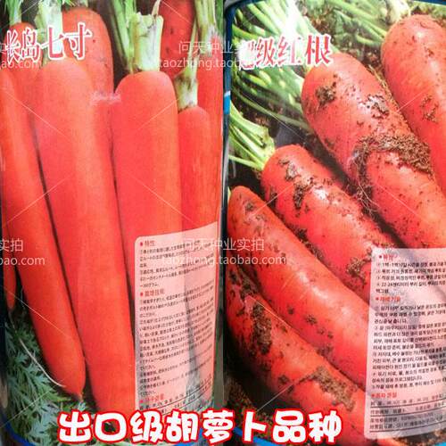 高产抗病基地专用蔬果胡萝卜种子