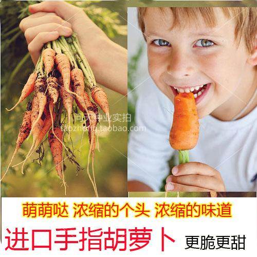 荷兰迷你胡萝卜种子农家儿童拇指手指好吃四季种籽蔬菜种孑 - 封面