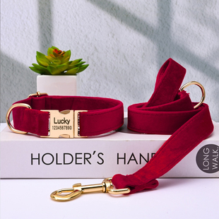 狗狗项圈泰迪小型犬颈圈狗绳刻字防丢牵引绳金毛中大型犬毛绒脖圈