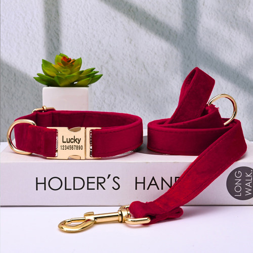 脖圈牵引绳刻字防丢脖圈