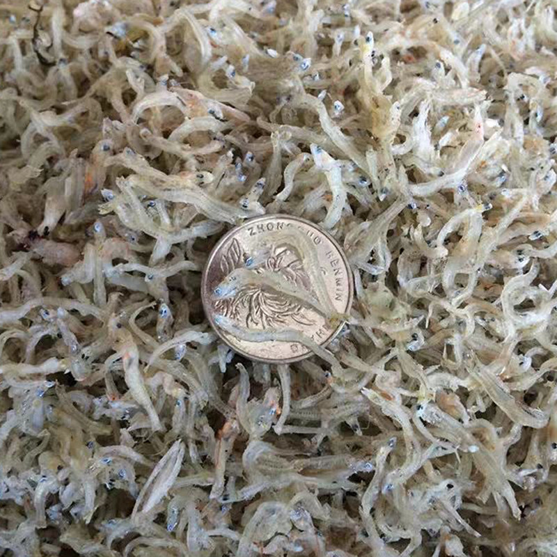 丁香鱼 无刺骨 白丁香饭 厨房蒸煮 f小鱼仔 500g-1500g/包,水产肉类/新鲜蔬果/熟食,鱼干,淘宝优惠券,粉丝福利购,淘宝优惠卷