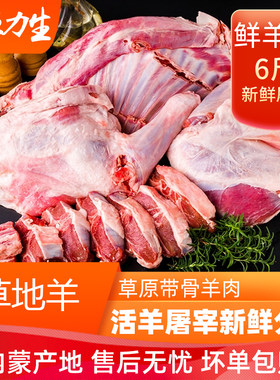 羊肉新鲜现杀6斤 手把肉内蒙古锡林浩特整只活羊生羊肉羊羔肉羊排