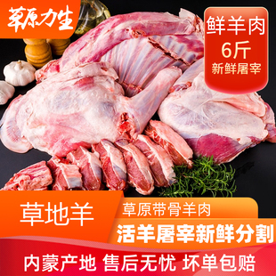 羊肉新鲜现杀6斤 手把肉内蒙古锡林浩特整只活羊生羊肉羊羔肉羊排