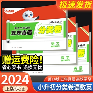 小学专项训练分班考试卷六年级下册小升初总复习名校重点中学招生五年真题卷万唯 2024小白鸥星空小升初分类卷语文数学英语人教版