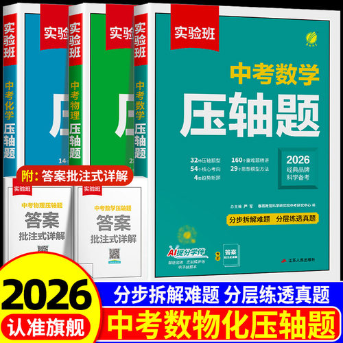 2026实验班数学中考压轴题初中人教版七八九年级数学物理化学压轴题函数应用题几何模型辅助线专项训练解题模板例题初一二三必刷题