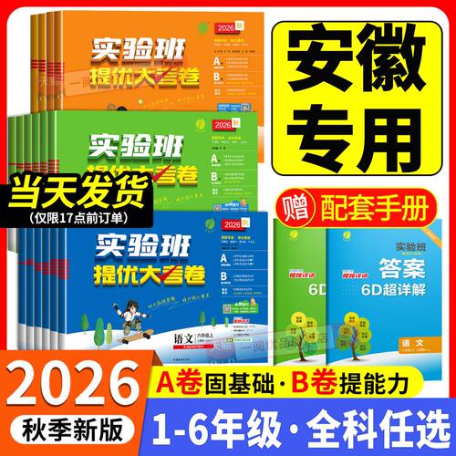 安徽专用2026秋实验班提优大考卷