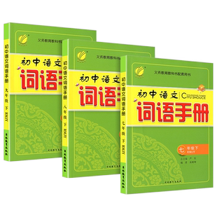 实验班 词语手册七年级上册八九年级下册人教版 初中生语文专项训练题字词句段篇章教材同步练习册课后复习课前预习辅导书