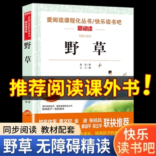 课外书老师推荐 杂文散文集 四年级至五年级 无障碍阅读版 六年级必读 鲁迅散文诗集 中小学生课外阅读书籍鲁迅读本小升初经典 野草