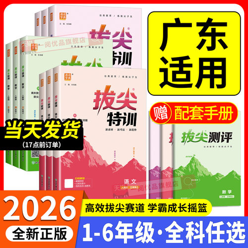 广东适用小学拔尖特训