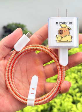 适用苹果17/16pro/15proMax手机13 14充电器保护套20W数据线绕绳